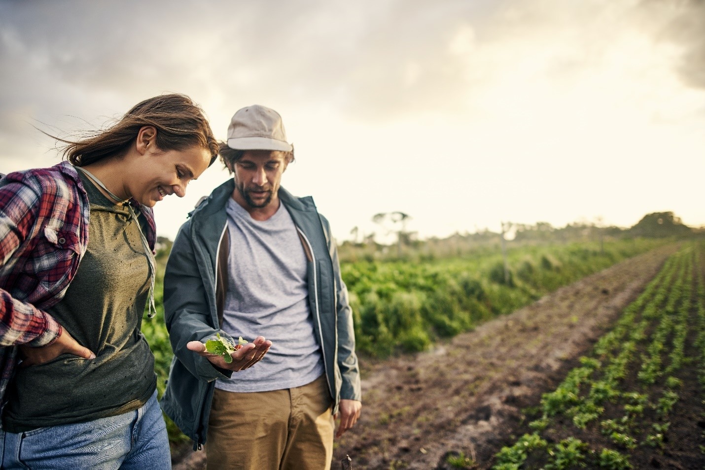 Agriculture, Food and Natural Resources Occupational Pathway