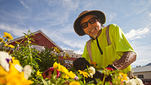 A man working in a garden