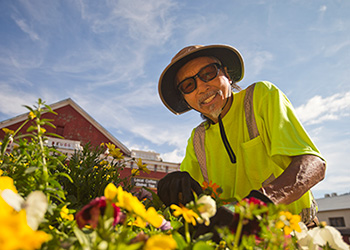 man working in garden