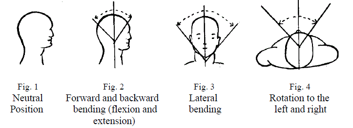 4 Figures Demonstrating Neck Motions